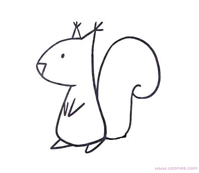 简单可爱小松鼠简笔画图片手绘素描-www.qqscb.com