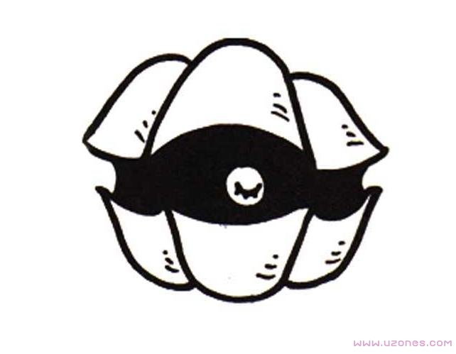 手绘带珍珠的贝壳简笔画图片大全-www.qqscb.com