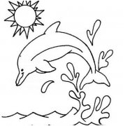 手绘跳跃的海豚简笔画图片素描彩铅