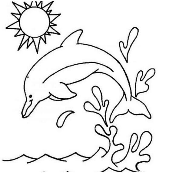 手绘跳跃的海豚简笔画图片素描彩铅-www.qqscb.com
