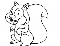 教你绘画可爱的小松鼠简笔画图片素描
