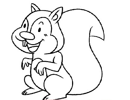 教你绘画可爱的小松鼠简笔画图片素描-www.qqscb.com