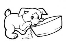 可爱的小狗喝水的简笔画图片素描铅笔