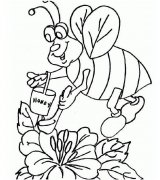 勤劳的小蜜蜂简笔画图片素描铅笔