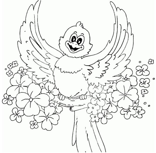 快乐的猫头鹰简笔画图片素描铅笔-www.qqscb.com