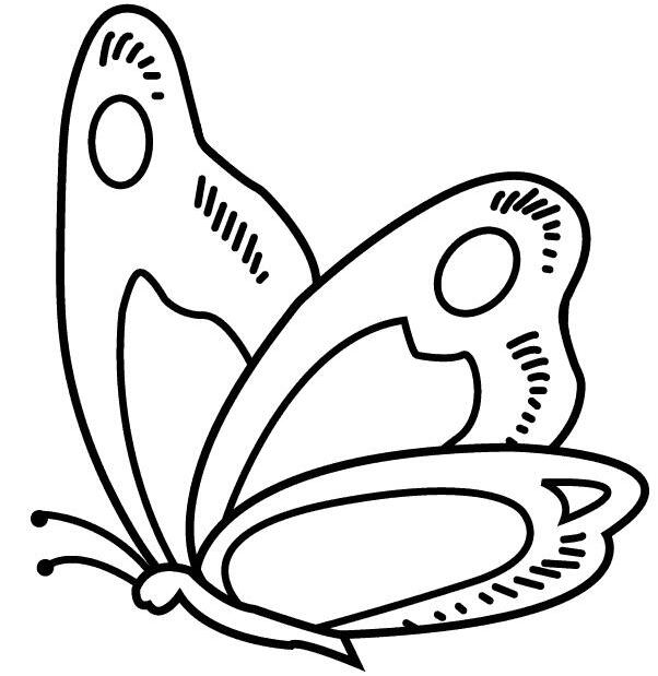手绘美丽的蝴蝶简笔画图片大全素描铅笔-www.qqscb.com