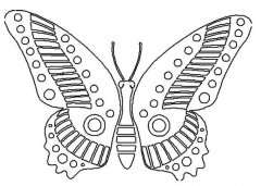 绘画漂亮的蝴蝶翅膀简笔画图片素描铅笔