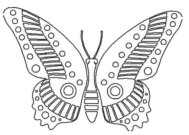 绘画漂亮的蝴蝶翅膀简笔画图片素描铅笔-www.qqscb.com