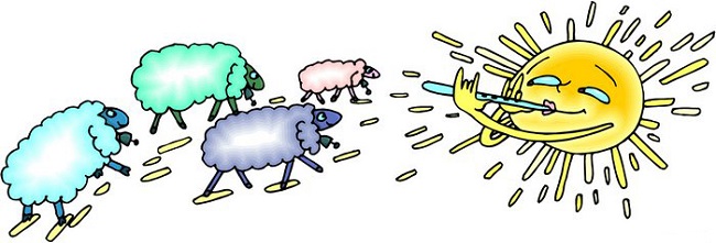 可爱的小绵羊简笔画图片素描彩铅-www.qqscb.com