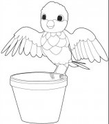 绘画可爱的小鹦鹉简笔画图片大全素描