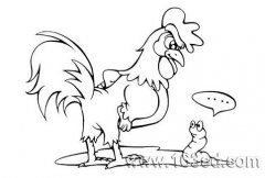 吃虫子的小公鸡简笔画图片素描铅笔