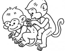 玩耍的两只小猴子简笔画图片素描铅笔