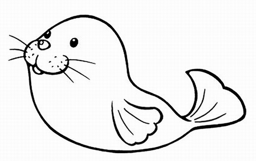 手绘可爱的海狮简笔画图片素描铅笔-www.qqscb.com