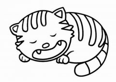 睡觉的大花猫简笔画图片大全素描手绘