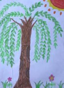 春天漂亮的柳树风景儿童画作品图片