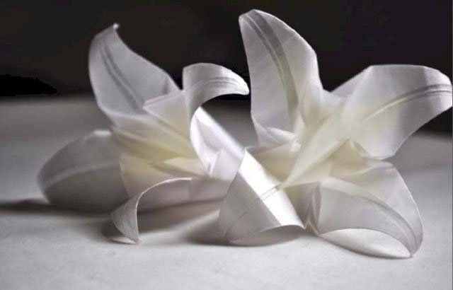 手工DIY创意花朵折纸作品图解教程-www.qqscb.com