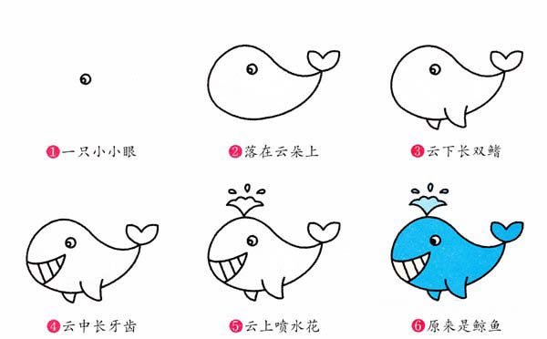 海洋卡通鲸鱼的简笔画图片教程素描彩图-www.qqscb.com