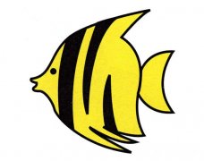 热带小鱼的画法 卡通热带鱼简笔画图片教程素描彩图