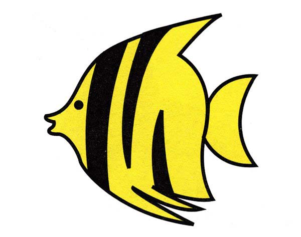 热带小鱼的画法 卡通热带鱼简笔画图片教程素描彩图-www.qqscb.com