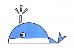 可爱小鲸鱼的画法 卡通鲸鱼简笔画图片教程步骤