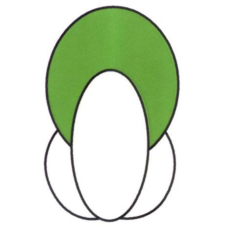 卡通青菜的画法 简单青菜简笔画图片教程素描-www.qqscb.com