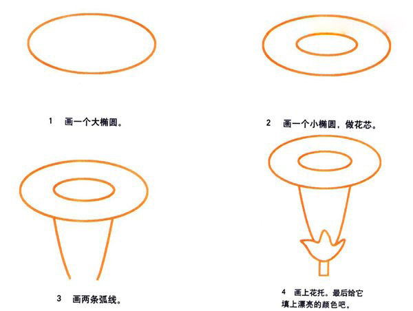 卡通牵牛花的画法 喇叭花简笔画图片教程素描-www.qqscb.com