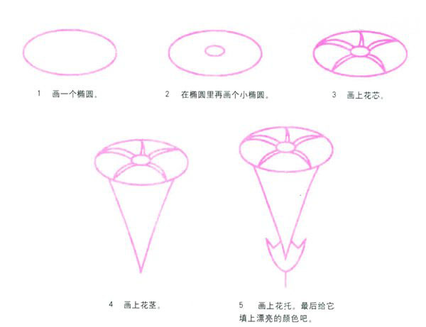 儿童简笔画红色大玫瑰花的画法步骤教程素描-www.qqscb.com