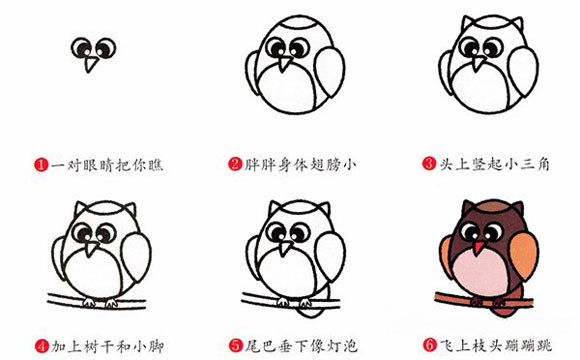 卡通可爱的猫头鹰简笔画图片教程素描彩图-www.qqscb.com
