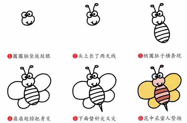 彩色可爱的小蜜蜂简笔画的画法图片教程(素描)-www.qqscb.com