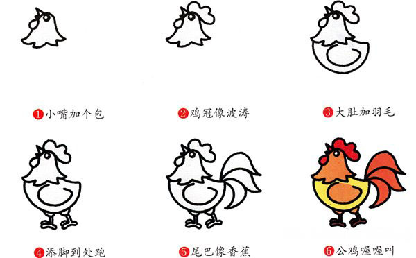  打鸣的大公鸡简笔画图片教程素描彩图-www.qqscb.com