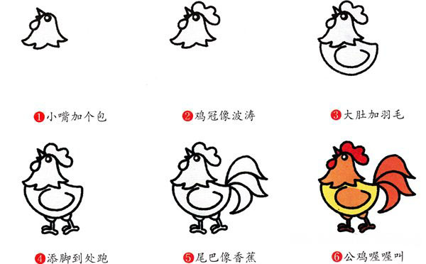 打鸣的大公鸡简笔画图片教程素描彩图-www.qqscb.com