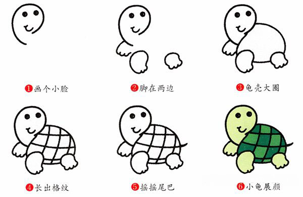 可爱小乌龟简笔画的画法步骤彩图素描-www.qqscb.com