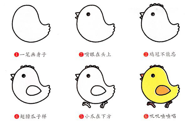 卡通可爱小鸡简笔画的画法步骤教程素描彩图-www.qqscb.com