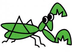 彩色卡通螳螂简笔画的画法图片教程素描