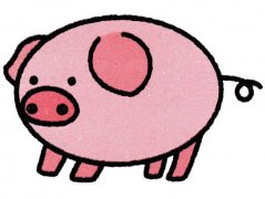 幼儿简笔画卡通可爱小猪的画法彩图素描