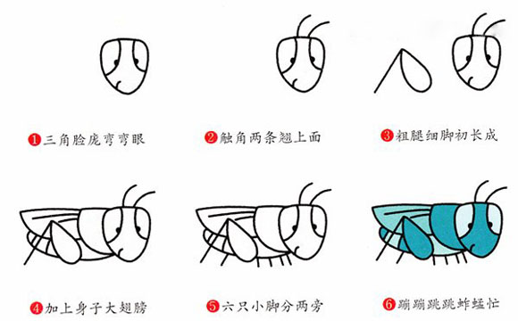 可爱小蟋蟀简笔画的画法步骤彩图教程-www.qqscb.com