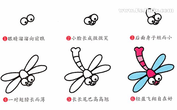 彩色飞翔的蜻蜓简笔画的画法步骤素描-www.qqscb.com