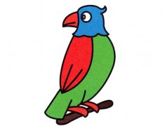 彩色鹦鹉简笔画的画法步骤图片教程素描