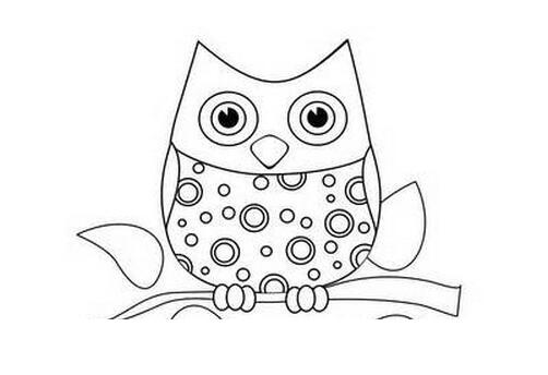 儿童简笔画猫头鹰的画法步骤教程-www.qqscb.com