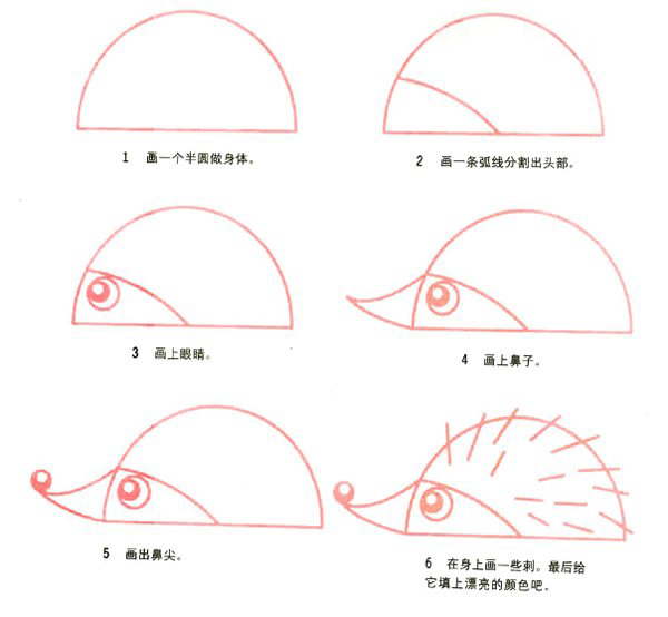 幼儿可爱小刺猬的画法简笔画图片步骤-www.qqscb.com