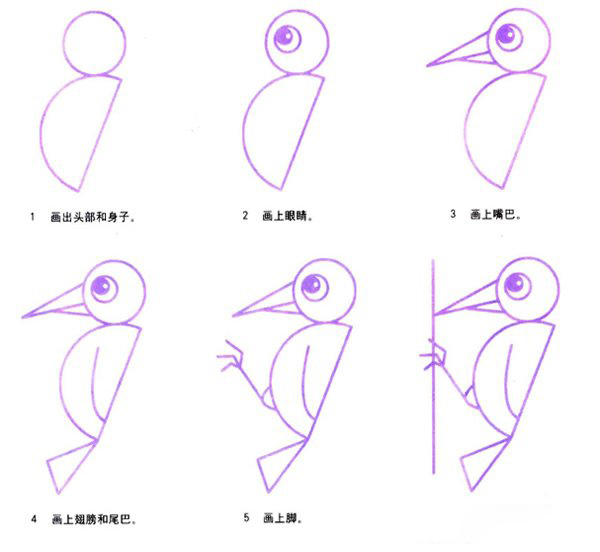 幼儿卡通啄木鸟的画法简笔画图片-www.qqscb.com