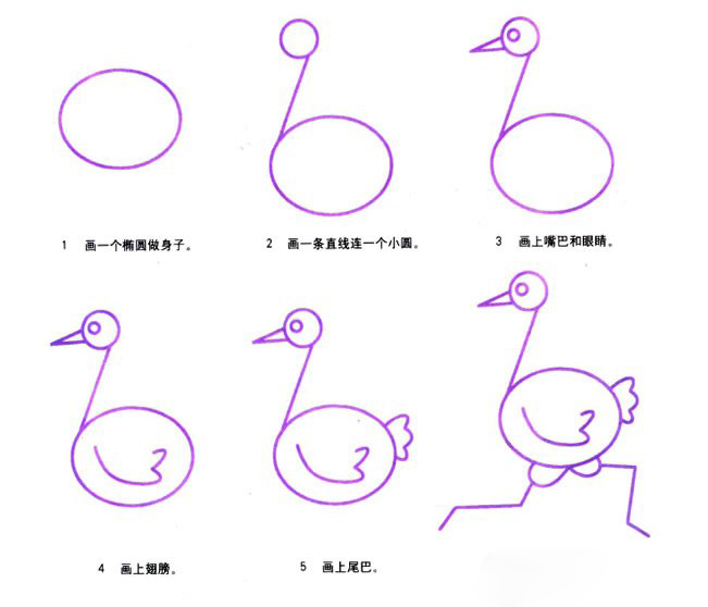 幼儿简笔画卡通鸵鸟的画法图片教程素描-www.qqscb.com