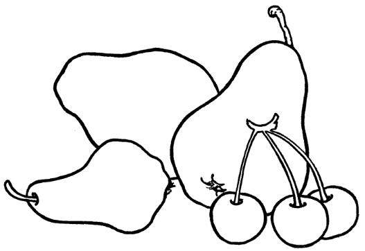 儿童简笔画各种香梨的画法步骤图片教程-www.qqscb.com
