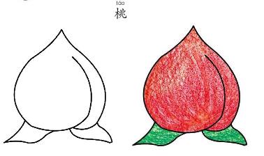 彩色两个桃子简笔画的画法步骤图片大全-www.qqscb.com