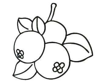 卡通枇杷的画法 枇杷简笔画图片教程素描-www.qqscb.com
