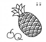幼儿简笔画卡通菠萝的画法图片教程素描
