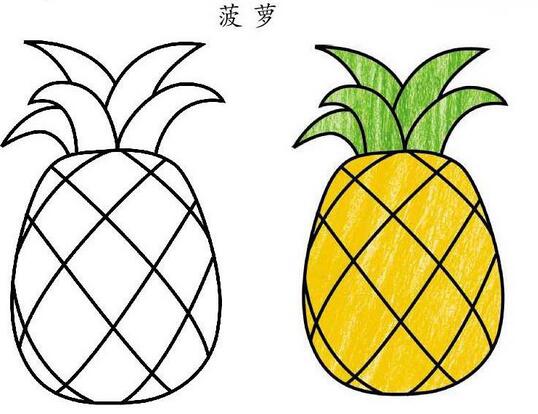 卡通菠萝的画法 菠萝简笔画图片大全素描彩图-www.qqscb.com