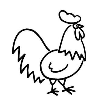 卡通公鸡的画法 公鸡简笔画图片大全-www.qqscb.com