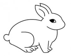 卡通小白兔的画法 兔子简笔画图片大全素描