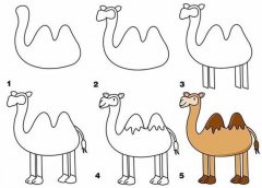 幼儿简笔画骆驼的画法图片教程素描彩图